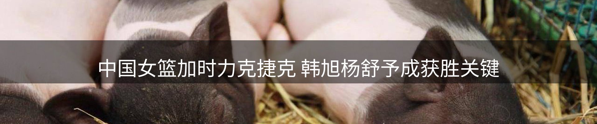 热点汇集